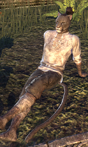File:Yan.png