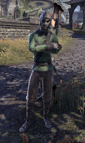 File:Nivis Hlaalu.png