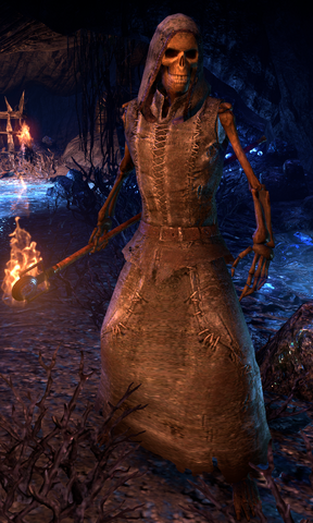 File:ESO Skeletal Pyromancer.png