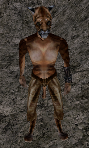 File:Tsajadhi.png
