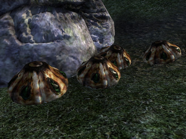 File:Putrid Gigantea.png
