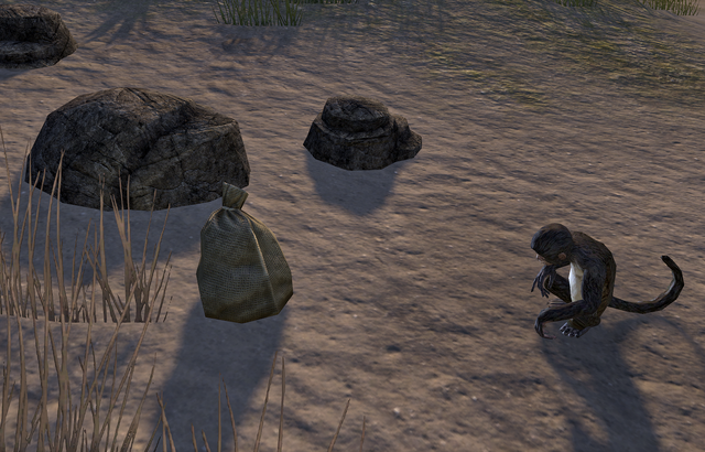 File:Washed Ashore.png