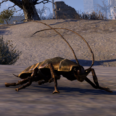 File:ESO Sandroach.png