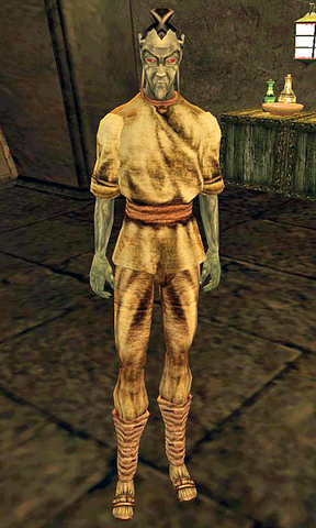 File:Vilyn Rervam.png