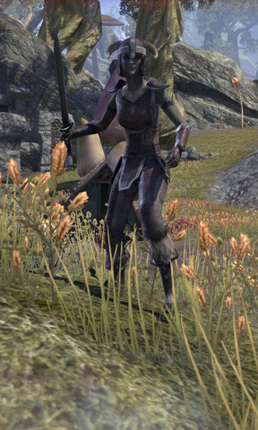 File:Maulborn Recruit.png