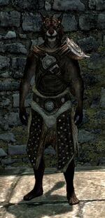 StuddedArmorSkyrim.jpg