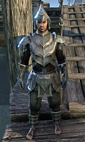 File:Alik'r Protector.png