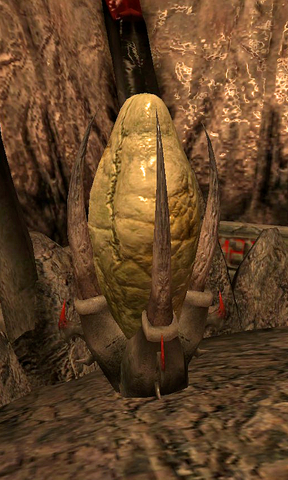 File:FleshyPod01.png
