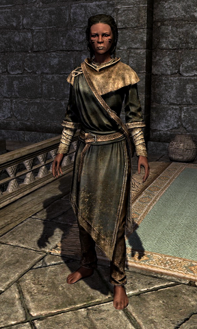 File:Mantled College Robes 000D3DE9.png
