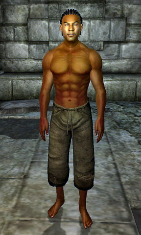 File:Sir Thedret.png