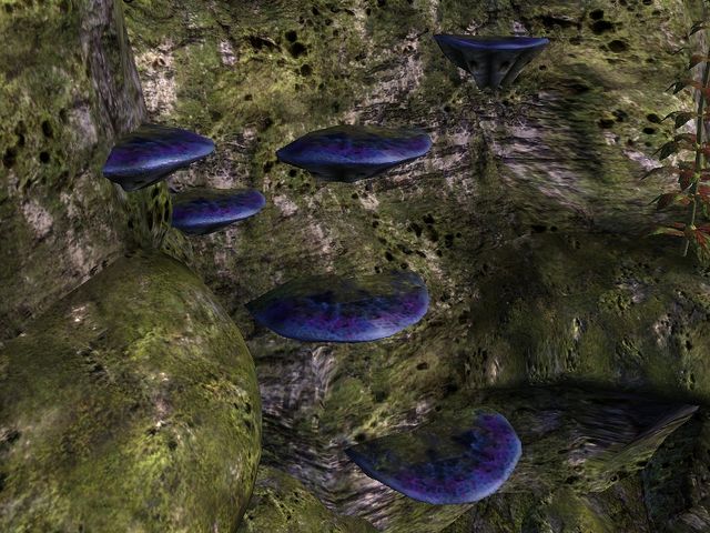 File:Hydnum Azure.png