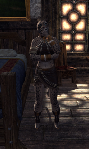File:Zaizami.png