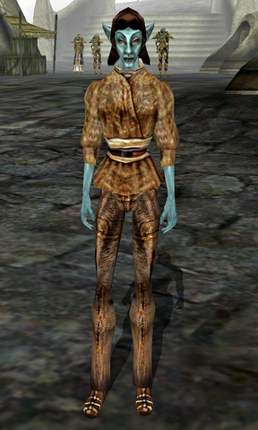 File:Aryni Orethi.png