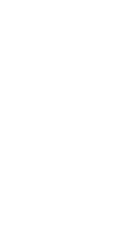 File:Dwemeris Y.png