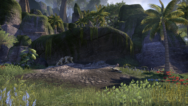 File:Nindaeril's Perch.png