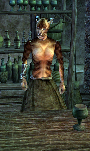 File:Khinjarsi.png