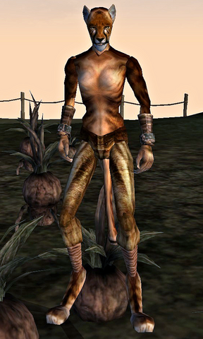 File:Affri.png