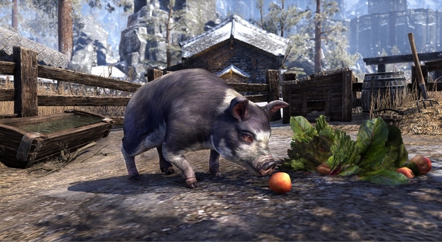 File:Psijic Domino Pig.png