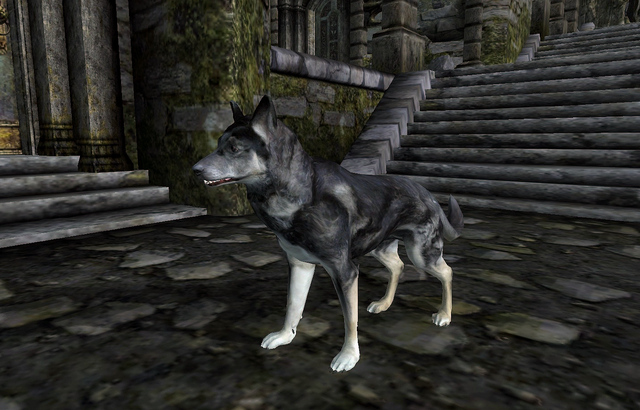 File:Ushnar's Dog.png