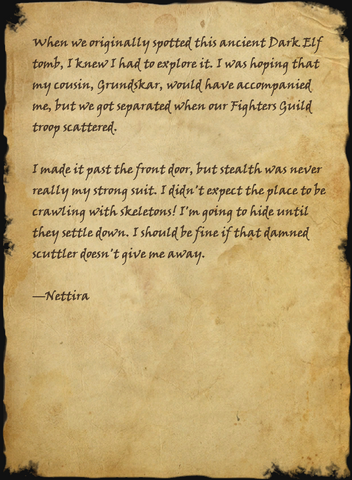 File:Nettira's Journal.png