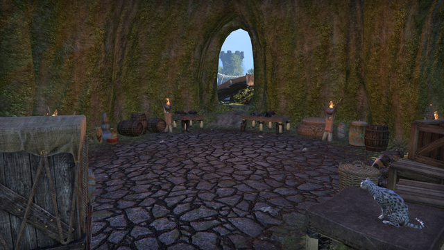 File:Hanriian's Handsome Tailoring.png