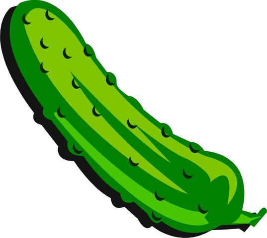 File:Pickle initerview.jpg