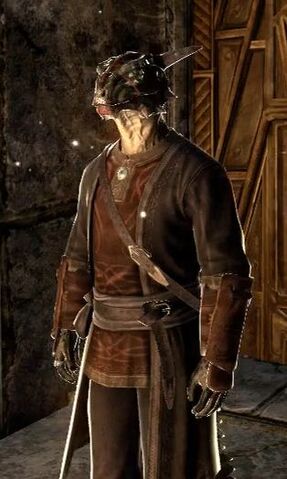 File:Skyrim Histskin.jpg