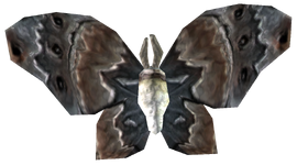 AncestorMoth