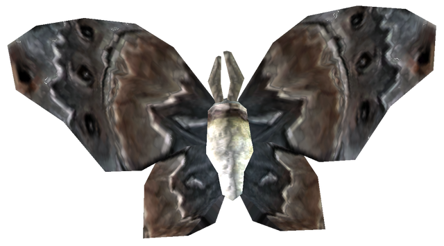 File:AncestorMoth.png