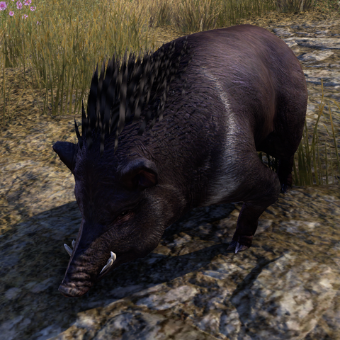 File:Daggerback (Online).png