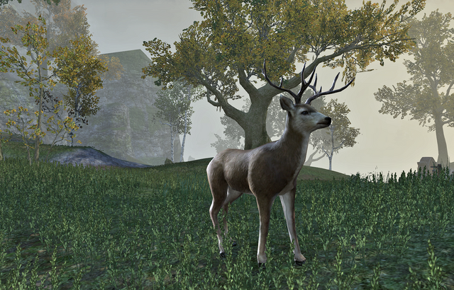 File:Deer Adult(Online).png