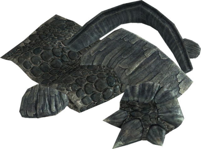 File:Dragon heartscales.png
