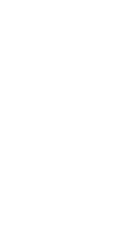 File:Dwemeris W.png