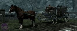 Skyrim-t-w