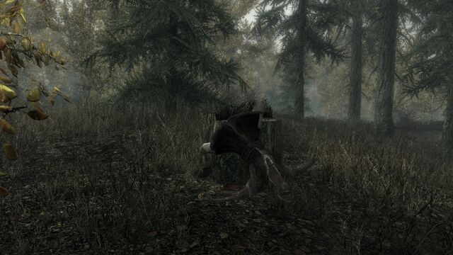 File:Dead Redguard.jpg