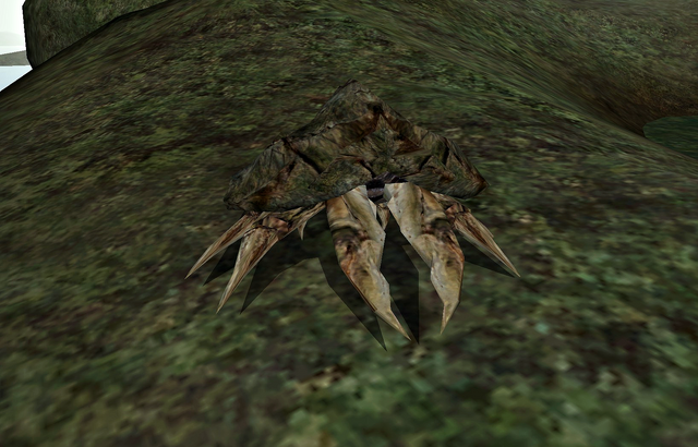 File:Mudcrab (Morrowind).png