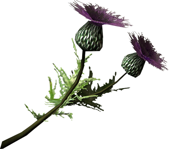 File:Thistle branch.png