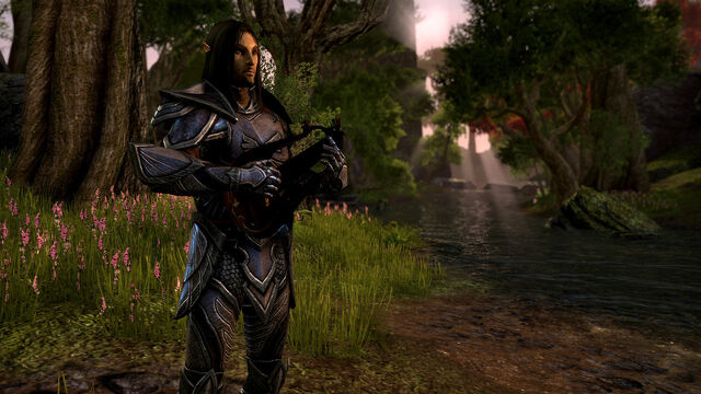 File:Altmer (Online).jpg