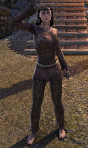 File:Caretaker Ministe.png