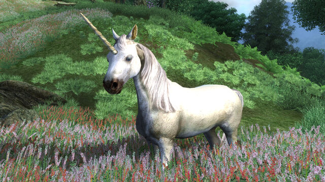 File:Unicorn.jpg