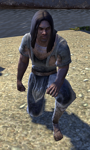 File:Lidenar.png