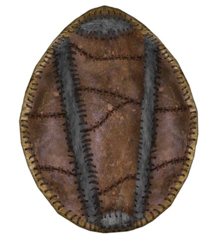 File:Fur Shield (Oblivion).png