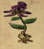 TESV 2016-07-07 19-07-02-23.png