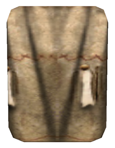 File:ExpensiveskirtMorrowind.png