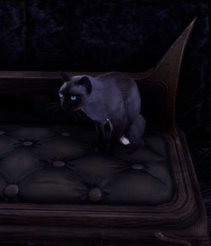 File:Slippers the Chickenhunter.png