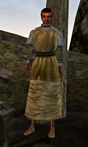File:Ancola.png