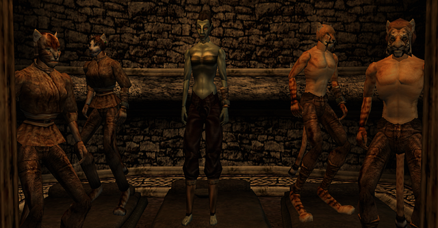 File:TES3 Morrowind - Quest - Ice Blade of the Monarch - Adusamsi.png
