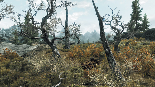 File:Bloodied Box Sleeping Tree Camp.png