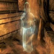 Image Noche.jpg