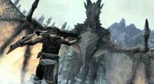 Drago.jpg